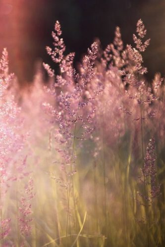 Zelfliefde Meditatie